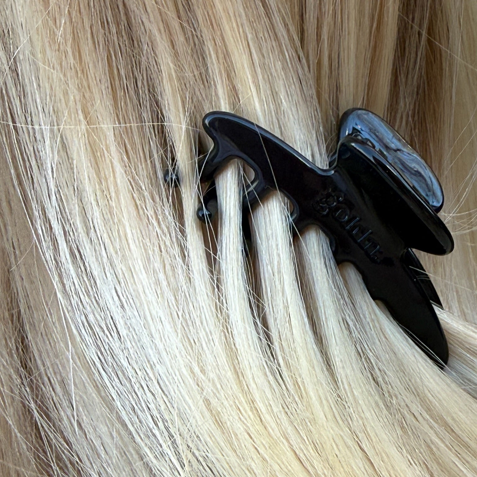 The Mini Raven