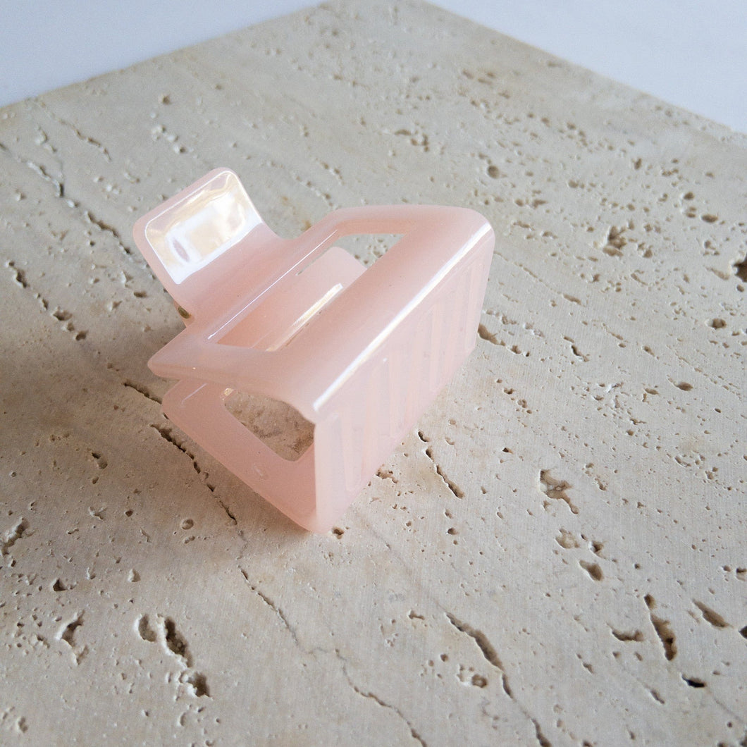 Dash Clip Small